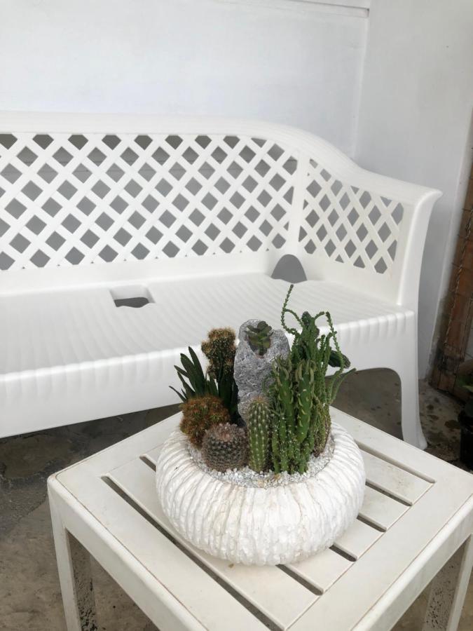 B&B Mimmosole Agropoli Esterno foto